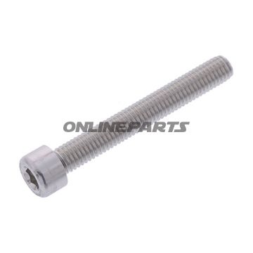 Hex Socket Cap Screw Proboltm8x1.25Mm 60Mm Alu Silver