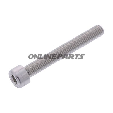 Hex Socket Cap Screw Proboltm8x1.25Mm 60Mm Alu Silver
