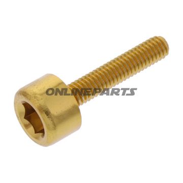 Hex Socket Cap Screw Proboltm4x0.7Mm 20Mm Alu Gold