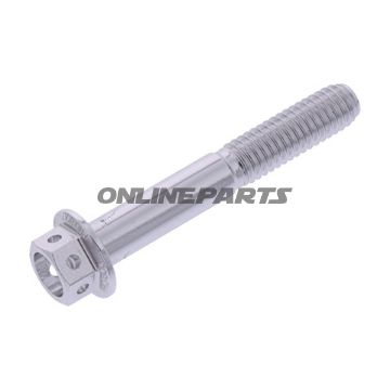 Hex Bolt Proboltm6x1.00Mm 40Mm Alu Rac Silver