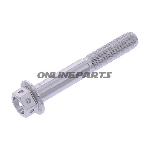 Hex Bolt Proboltm6x1.00Mm 40Mm Alu Rac Silver