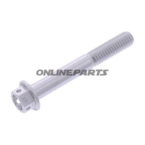 Hex Bolt Proboltm6x1.00Mm 45Mm Alu Rac Silver
