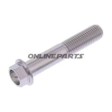 Hex Bolt Proboltm10x1.25Mm 55Mm Stainless Steel A4