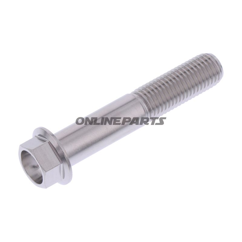 Hex Bolt Proboltm10x1.25Mm 55Mm Stainless Steel A4