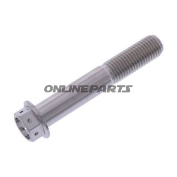 Hex Bolt Proboltm10x1.25 60Mm Stainless Steel A4 Rac
