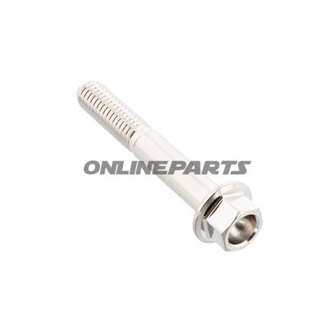 Hex Bolt Proboltm6x1.00 40Mm Stainless Steel A4