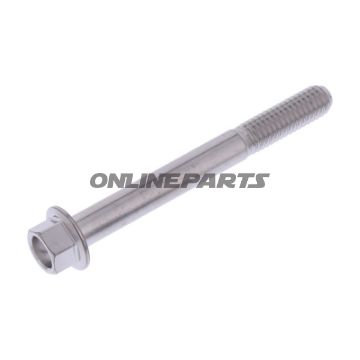 Hex Bolt Proboltm6x1.00Mm 55Mm Stainless Steel A4