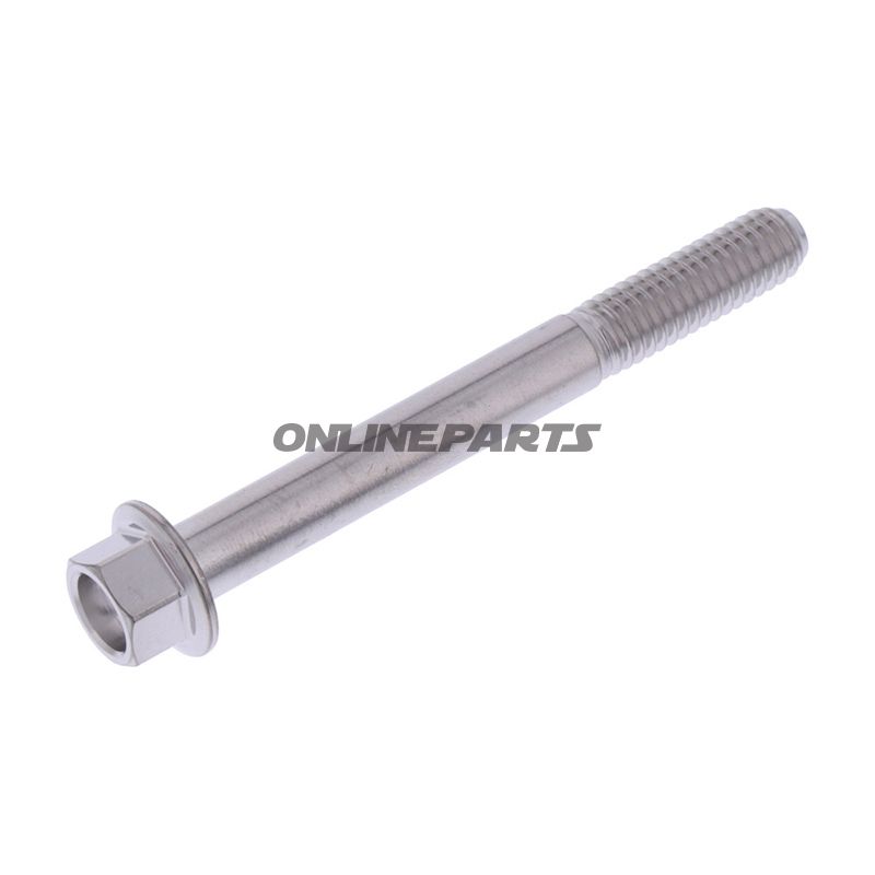 Hex Bolt Proboltm6x1.00Mm 55Mm Stainless Steel A4