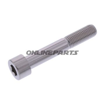 Hex Socket Cap Screw Proboltm10x1.25Mm 60Mm Stainless Steel A4