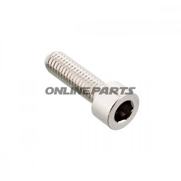 Hex Socket Cap Screw Proboltm6x1.00Mm 20Mm Stainless Steel A4