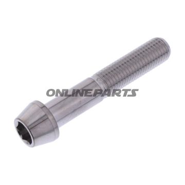Cone Head Bolt Proboltm10x1.25Mm 55Mm Stainless Steel A4