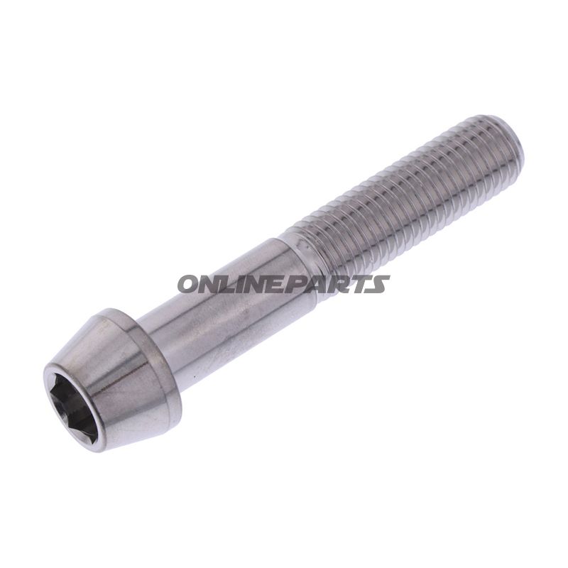 Cone Head Bolt Proboltm10x1.25Mm 55Mm Stainless Steel A4