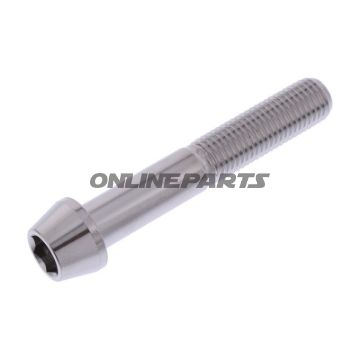 Cone Head Bolt Proboltm10x1.25Mm 60Mm Stainless Steel A4