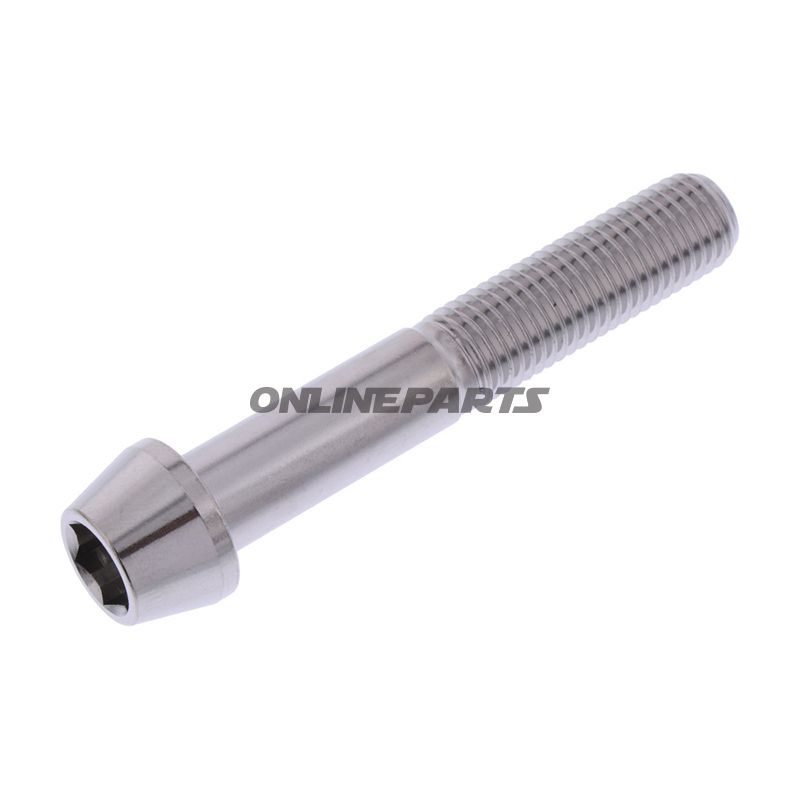 Cone Head Bolt Proboltm10x1.25Mm 60Mm Stainless Steel A4