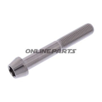 Cone Head Bolt Proboltm10x1.25Mm 65Mm Stainless Steel A4
