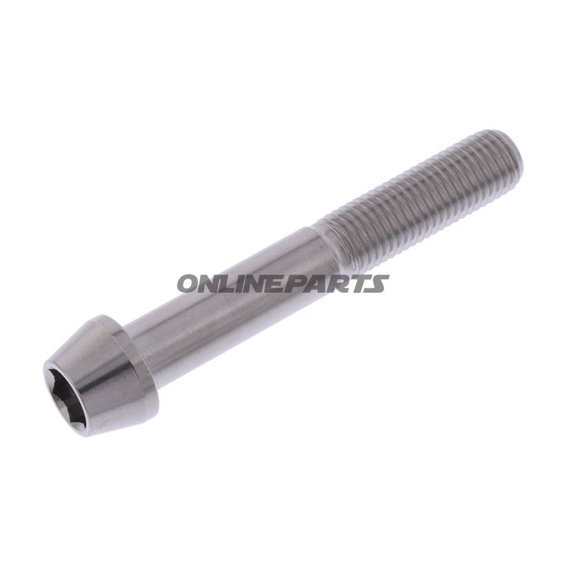 Cone Head Bolt Proboltm10x1.25Mm 65Mm Stainless Steel A4