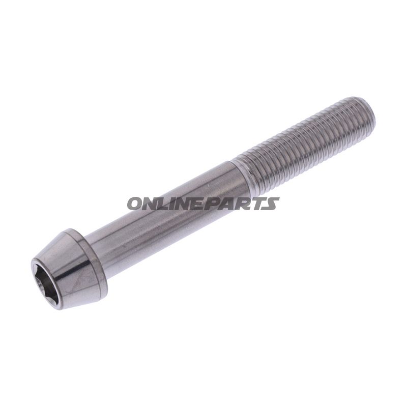 Cone Head Bolt Proboltm10x1.25Mm 70Mm Stainless Steel A4