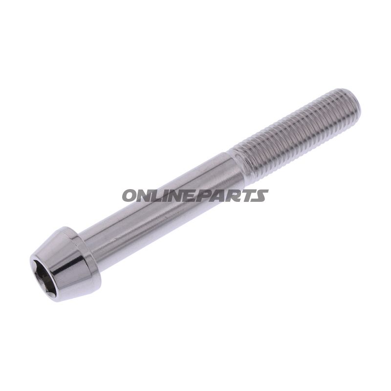 Cone Head Bolt Proboltm10x1.25Mm 75Mm Stainless Steel A4