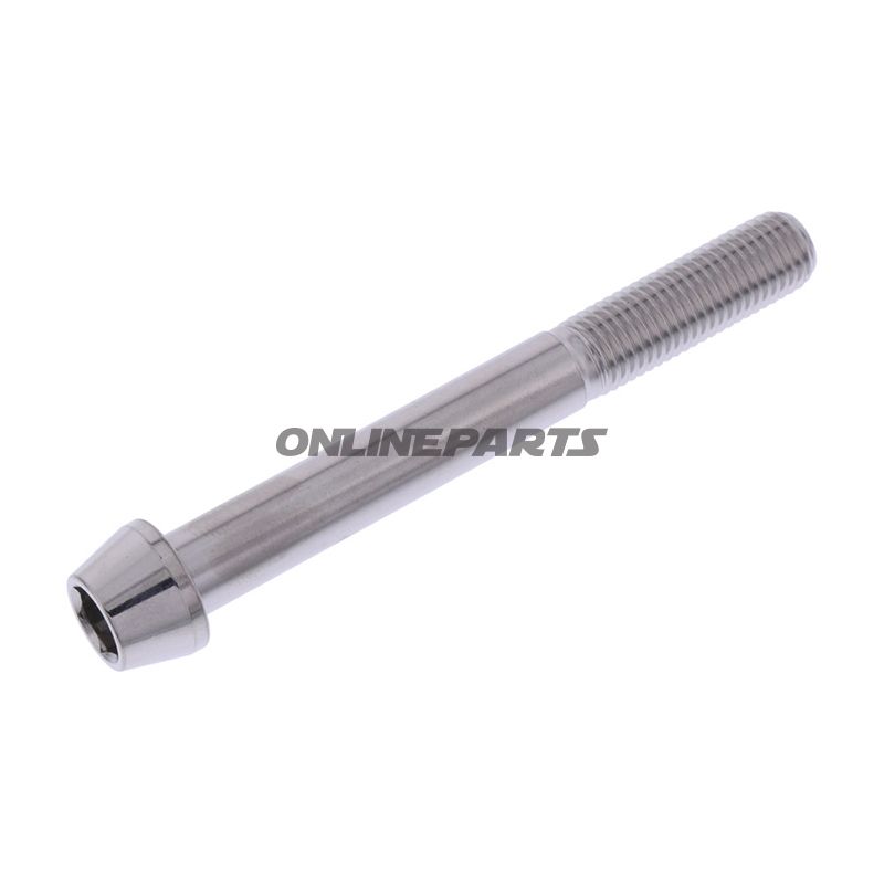 Cone Head Bolt Proboltm10x1.25Mm 85Mm Stainless Steel A4