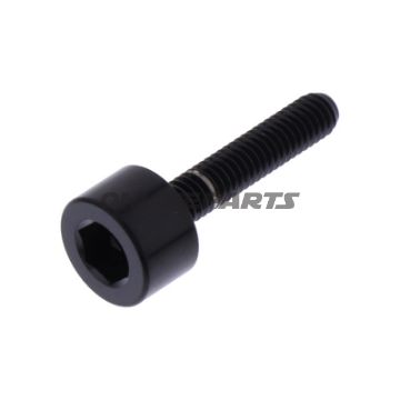 Screw Fuel Tank Cap Proboltm4x0.7Mm 20Mm Stainless Steel A4 Black