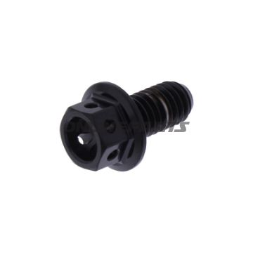 Hex Bolt Proboltm6x1.00 12Mm Stainless Steel A4 Rac Black