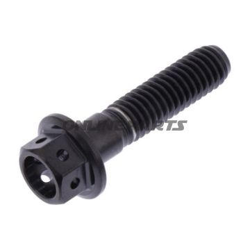 Hex Bolt Proboltm6x1.00 25Mm Stainless Steel A4 Rac Black