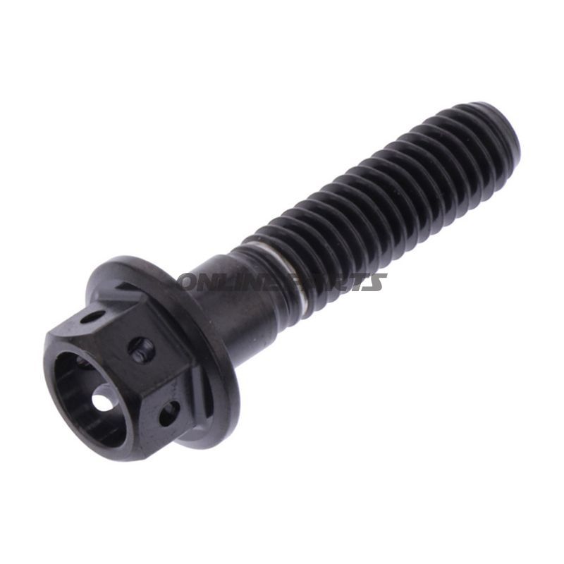 Hex Bolt Proboltm6x1.00 25Mm Stainless Steel A4 Rac Black