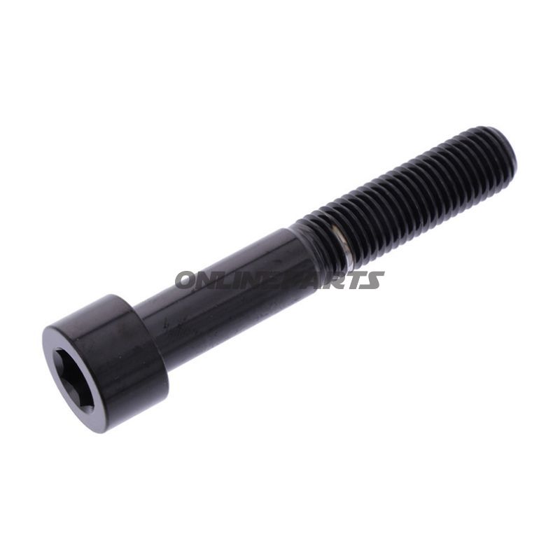 Hex Socket Cap Screw Proboltm10x1.25Mm 60Mm Stainless Steel A4 Black