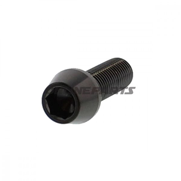 Cone Head Bolt Proboltm10x1.25Mm 30Mm Stainless Steel A4 Black