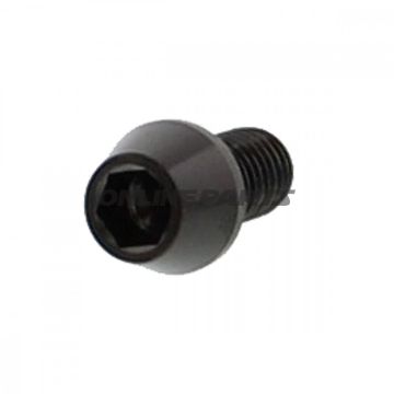 Cone Head Bolt Proboltm8x1.25Mm 15Mm Stainless Steel A4 Black