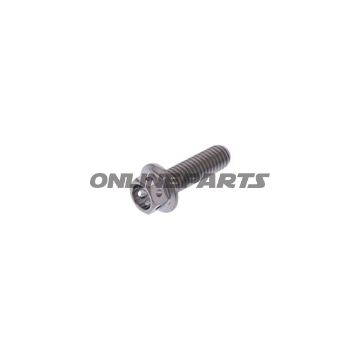 Hex Bolt Proboltm6x1.00Mm 20Mm Titan Rac
