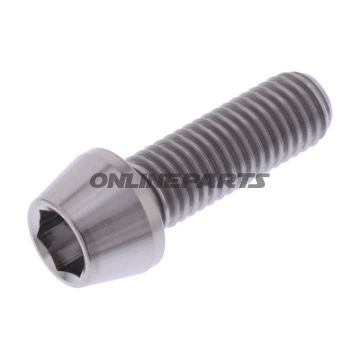 Cone Head Bolt Proboltm10x1.50Mm 30Mm Titan