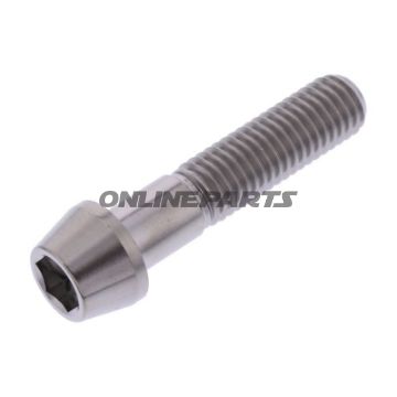 Cone Head Bolt Proboltm10x1.50Mm 45Mm Titan