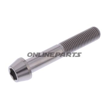 Cone Head Bolt Proboltm10x1.25Mm 60Mm Titan