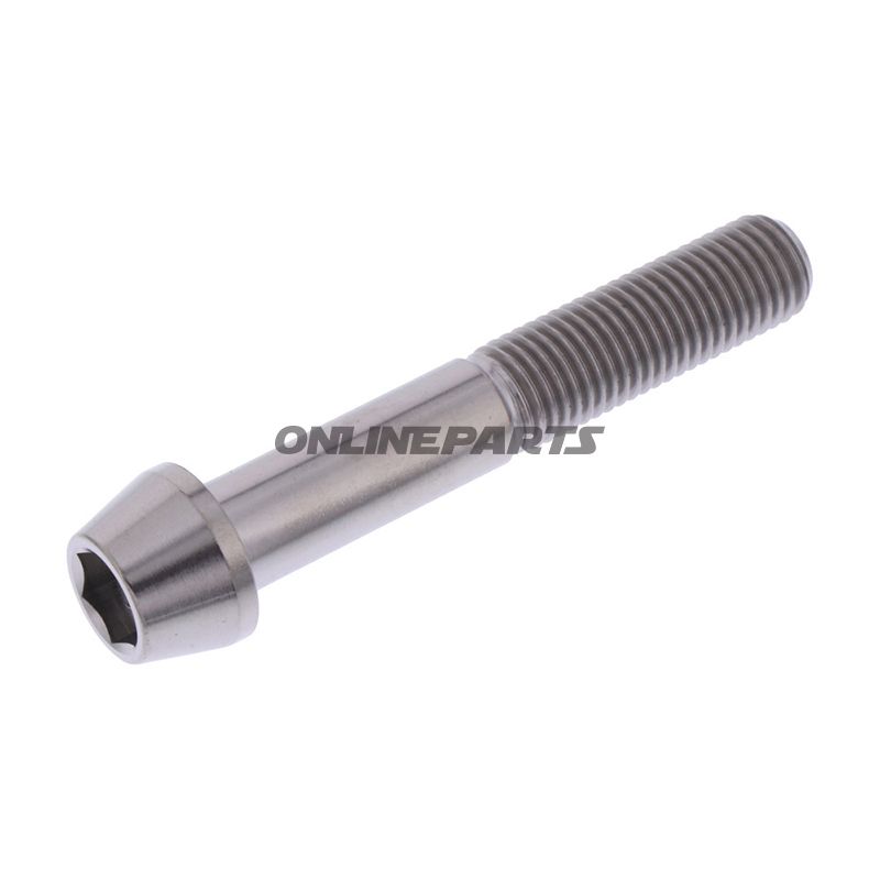 Cone Head Bolt Proboltm10x1.25Mm 60Mm Titan