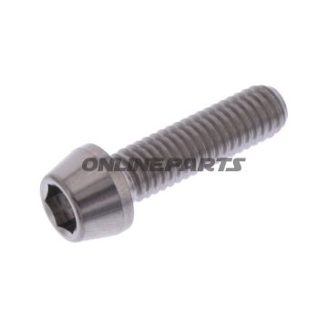 Cone Head Bolt Proboltm6x1.00Mm 22Mm Titan