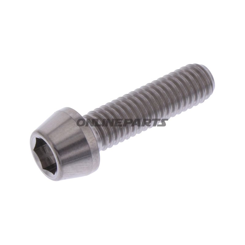 Cone Head Bolt Proboltm6x1.00Mm 22Mm Titan