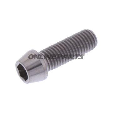 Cone Head Bolt Proboltm7x1.00Mm 20Mm Titan