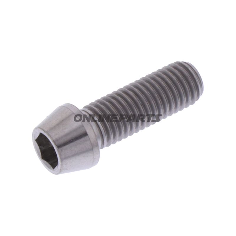 Cone Head Bolt Proboltm7x1.00Mm 20Mm Titan