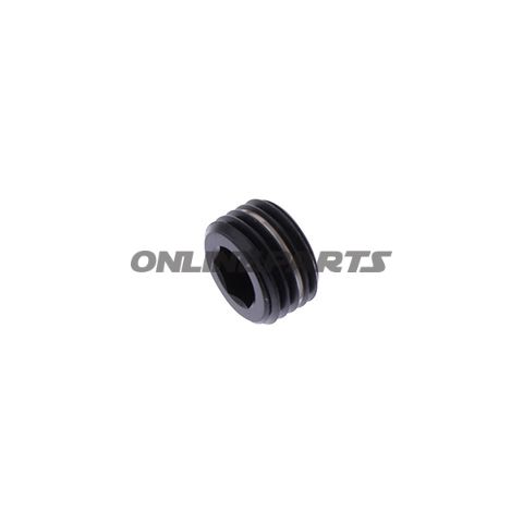 Plug Caliper Pin Proboltm10x1.00Mm Titan Black