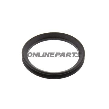 Sealing Ring (Orig Spare Part)