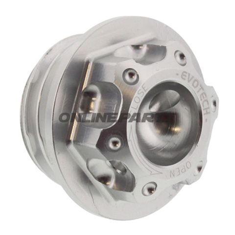 Oil Filler Screw20x2.5Mm Silver