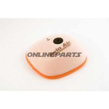 Twin Air Air Filter