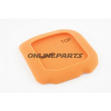 Air Filter Foam Twin Air