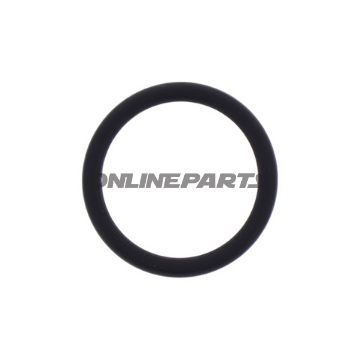 Cam Chain Tensioner Gasket Athena