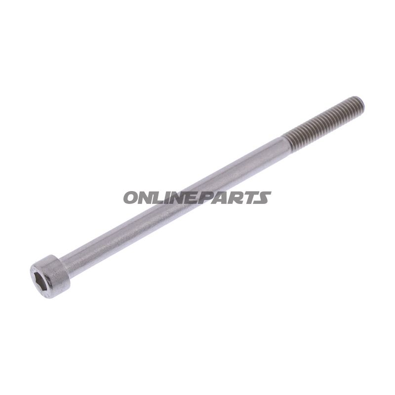 Hex Socket Cap Screw Proboltm6x1.00Mm 100Mm Steel