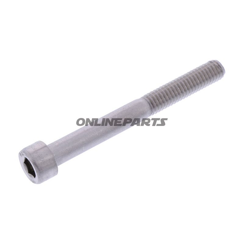 Hex Socket Cap Screw Proboltm6x1.00Mm 55Mm Steel