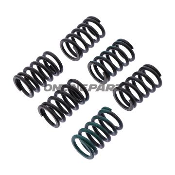 Clutch Spring Kit Reinforced Trwcont 6 Pcs