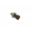 Schalt Oeldruck (Orig Spare Part)