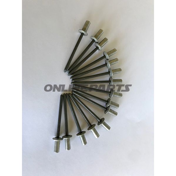 Blindn Alu 4.8X11mmgasdicht